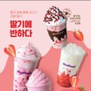 더벤티연수 이미지