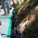 도림민박 이미지