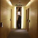 분당-364 이미지