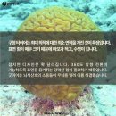 타이어세상 이미지