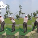 여주-0008 이미지