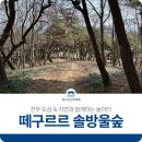 도심속자연
