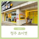 늘푸른약국 | 아기랑 고양이카페 / 청주 쵸이캣 방문후기