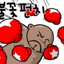 BOXING STORY 이미지