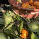 푸실농장 이미지