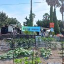 태우장터 이미지