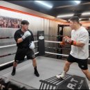 고트복싱 청담점 이미지