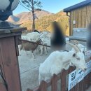 냉정목장 이미지