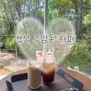 달숲 - 당진시 시청2로 10 | [부산 남구] 우암동 바다가 보이는 도심 속 숲속의 카페 달숲 내돈내산 방문후기