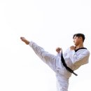 백호2태권도 이미지