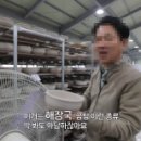 뚝배기양평해장국 이미지