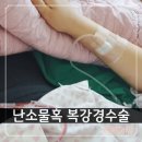 홍블리네일 - 시흥시 승지로 73 | 난소물혹 복강경 수술 후기 (물혹 발견부터 수술 후 경과)