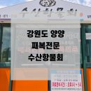 수산항 | 강원도 양양 맛집 수산항물회 째복전문 내돈내산 솔직후기