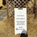 원주농장 | 체험 :) 원주 로사넬라 장미 체험 농장 내돈내산 솔직 후기/아이와 가볼만한 곳 추천