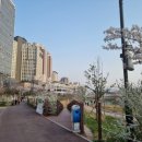 고기원칙 미사강변점 이미지