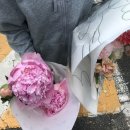 ❝ 대전꽃집 / 탄방동 가드닝샵 ⨟ 르플러스 , 어버이날 카네이션바구니 후기 ❞
