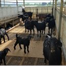 김동우농장 이미지