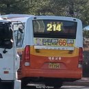 사파동214 이미지