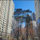 고산공인중개사사무소 이미지