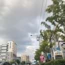 무주지포트 대구달서구점 | 그랜저GN7광주에서대구장거리택시비 예약운행