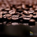 커피바리스타(야) 이미지