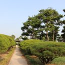 한밭수목원 이미지