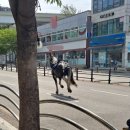 만인승마체험장 이미지