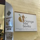 [스페인] 세비야 기념품 샵 추천 :: 오렌지 트리 Orange Tree Sevilla