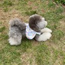 아틀리독 이미지