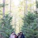 메타세쿼이어길 화장실 이미지