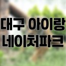 대구 아이랑 가볼만한 곳 ‘ 네이처파크 ’ [ 동물원 ]