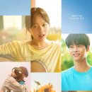 태양과 소녀 | 영화관에서 두 번 상영한 <미드나잇 선> 그리고 <태양의 노래> 후기