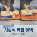 아시아나세이버( 이미지