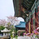 혜원정사 팔상도 | 부산 연제구 가볼만한 곳! 연산동 고분군 옆 도심속 사찰 &#34;묘봉산 혜원정사&#34; 절구경