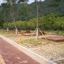 칠갑산오토캠핑장 이미지