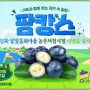 명사체험마을 이미지