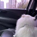 차암동물병원 이미지