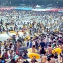 숲멍 이미지