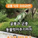 로아네 이미지