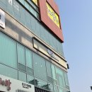 대전 염색 잘 하는 도안동 미용실 &#34;루덴헤어&#34; 전체염색 후기 (주차 가능, 미용 시술 가격O)
