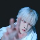 207 이미지