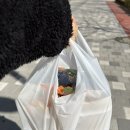 떡볶이 꼬마김밥 분식 맛집 (자곡동, 세곡동, 수서역)
