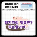 SO HAPPY | 당신을 아주 행복하게 만들어 줄 표현들 as Happy as a Pig in Mud