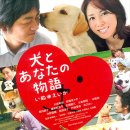 개와당신 이미지