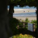 낙동강변로 이미지