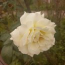 베말공원 이미지