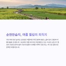 순천만 쉼표2 이미지