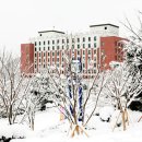 동원대학교 이미지