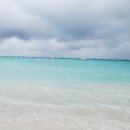 CoCo멍(코코멍) 이미지