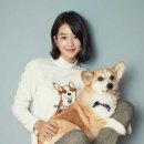 세정올리비아로렌